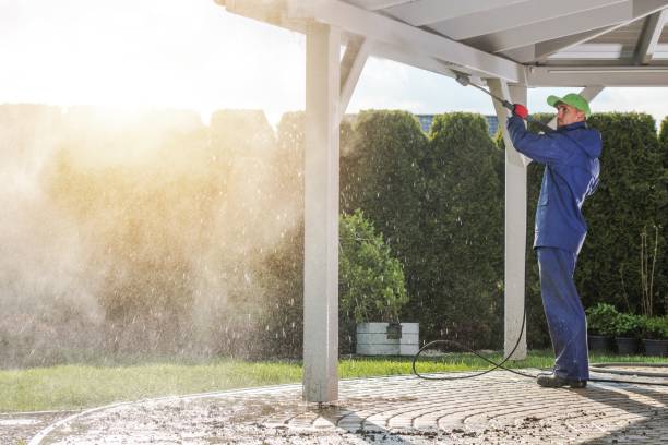 Best Driveway Pressure Washing  in Rapids, NY